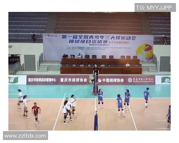 重庆排球队个人能力分析与表现评估研究报告 重庆排球队个人能力分析与表现评估研究报告